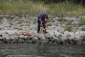 Uebung BF Taucher und Presse Koeln Zoobruecke Rhein P103